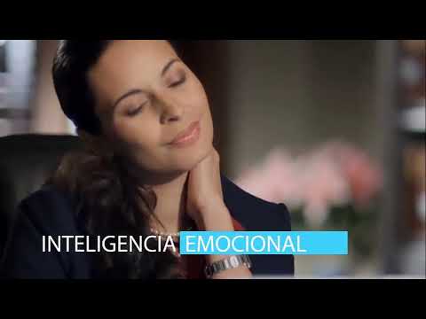 Curso de Principios de la Inteligencia Emocional